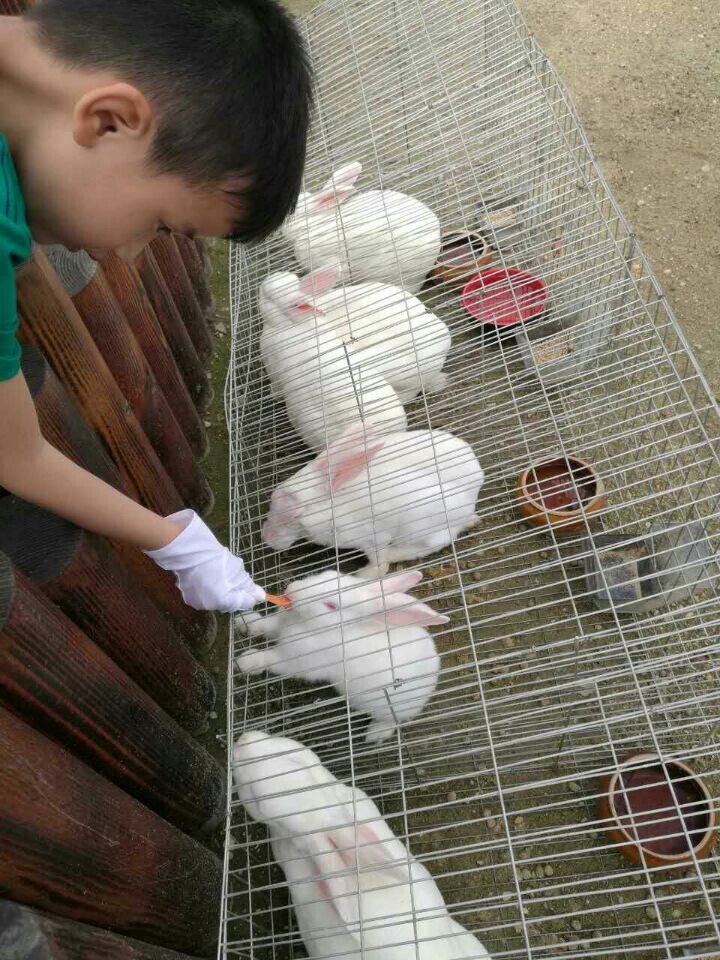 中国·永利yl23455(股份)有限公司-官方网站
